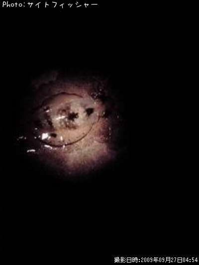 �����ꥤ��