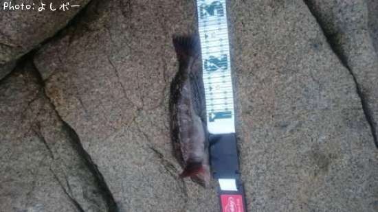 �����ʥ�