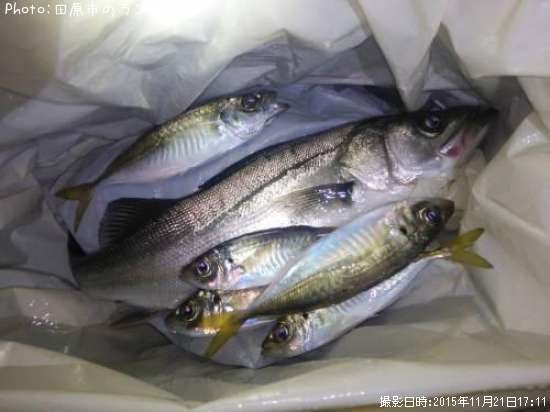 �����Х�