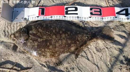 �ޥ����쥤