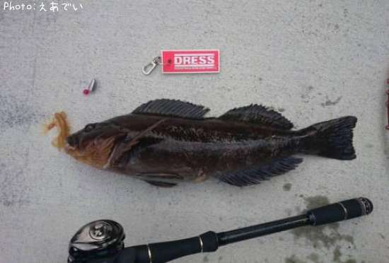 �����ʥ�