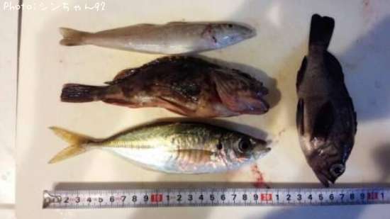 ������¾