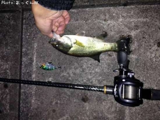 �֥�å��Х�