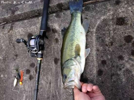 �֥�å��Х�