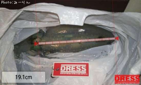 �����ꥤ��