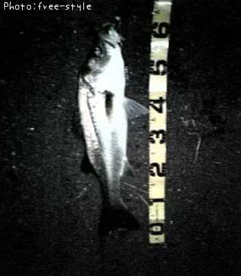 �ӣ��£���