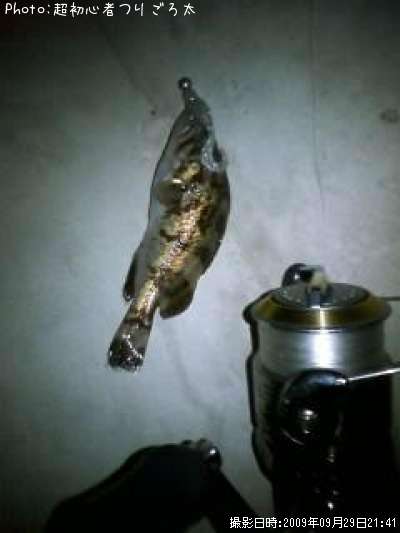 �٥å�������