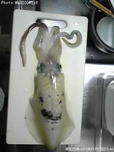 �����ꥤ��