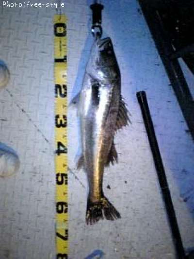 �ӣ��£���