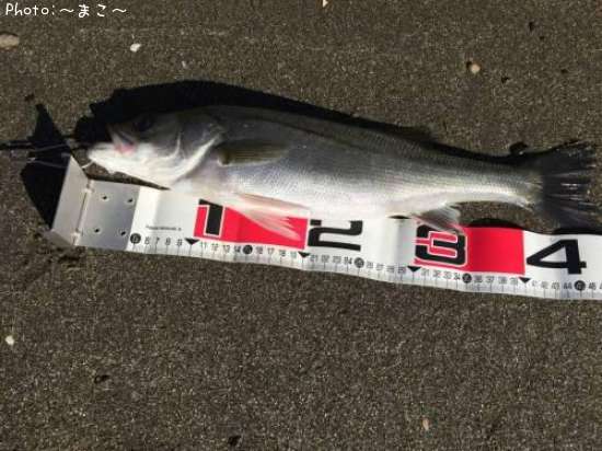 �����ե����Х�