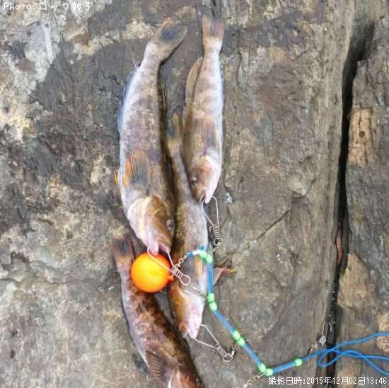 �����ʥ�