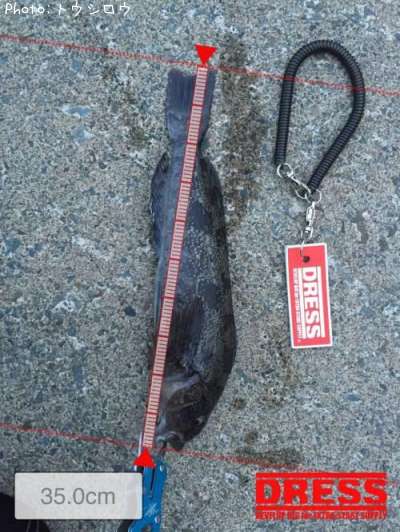 �����ʥ�