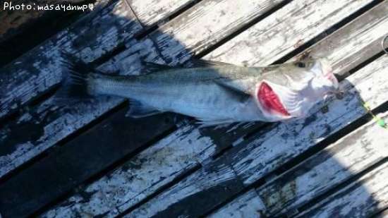 �����Х�