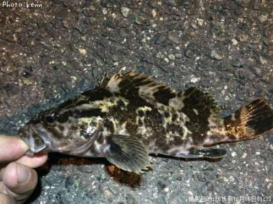 �����Υ���Х�