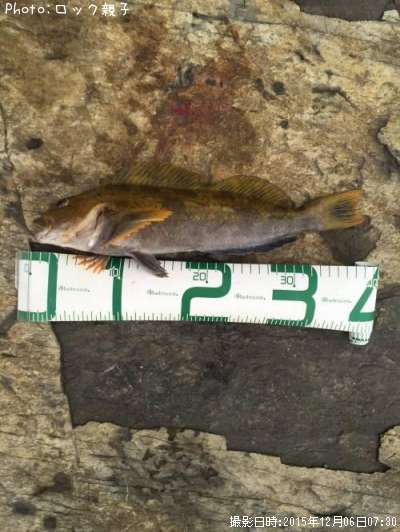 �����ʥ�