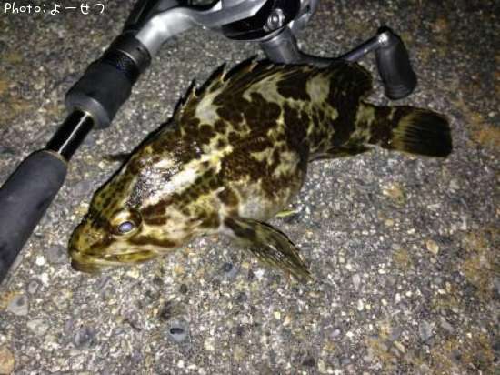 �����Υ���Х�