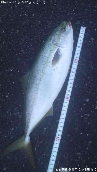 �ĥХ�������