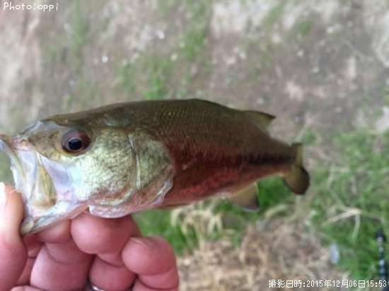 �֥�å��Х�