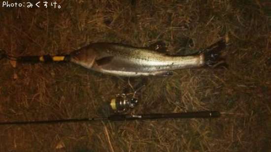 �����Х�