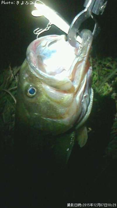 �֥�å��Х�