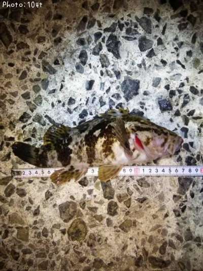 �����Υ���Х�