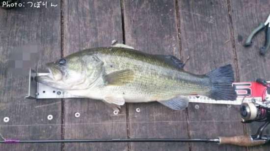 �֥�å��Х�