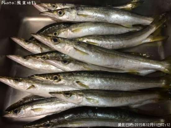 �������ޥ�