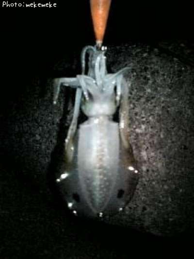 �����ꥤ��