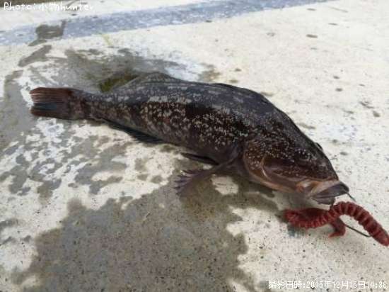 �����ʥ�