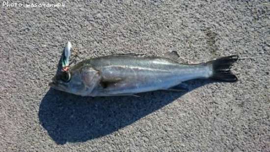 �����Х�