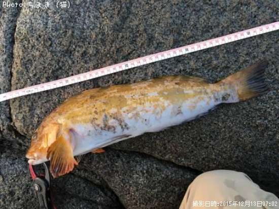 �����ʥ�