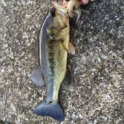 �֥�å��Х�