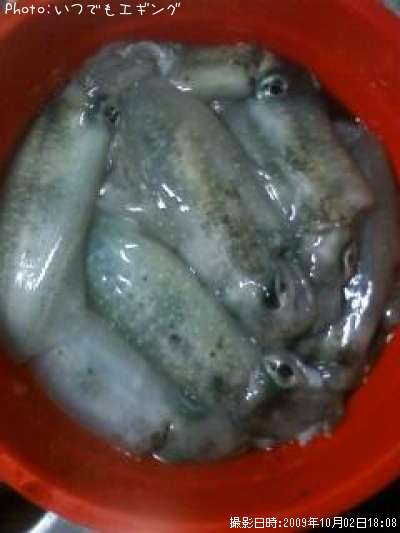 �����ꥤ��