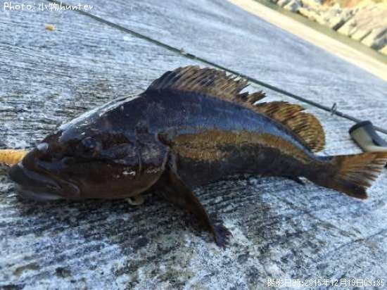 �����ʥ�