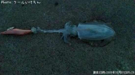 �����ꥤ��