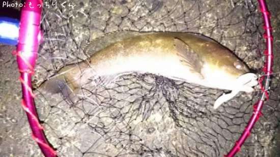 �����ʥ�