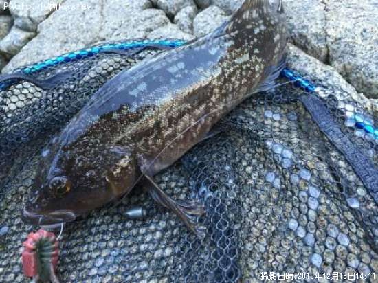 �����ʥ�