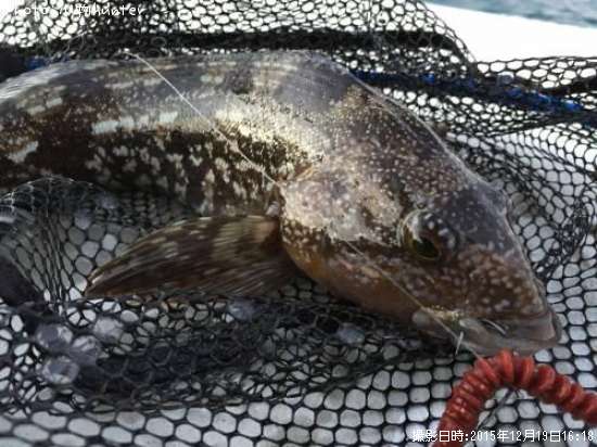 �����ʥ�