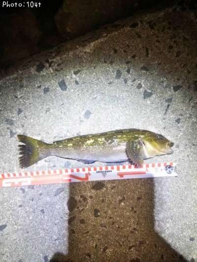 �����ʥ�