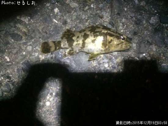 �������Υ���Х�