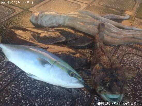 ���쥤�ȥ����ȥ��ʥ��ȥܥå�