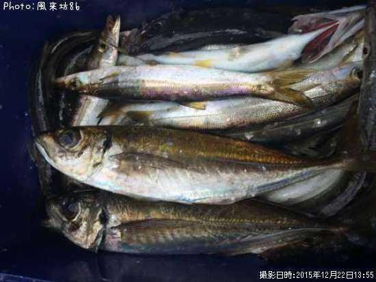 ���������ޥ�