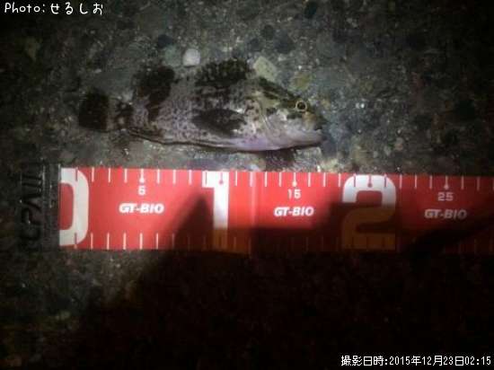 �������Υ���Х��