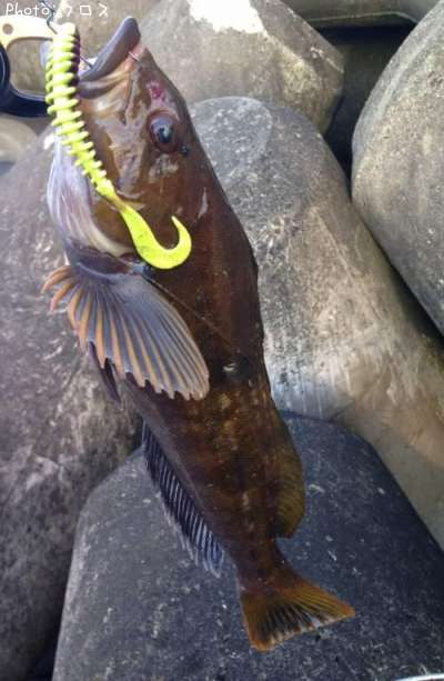 �����ʥ�