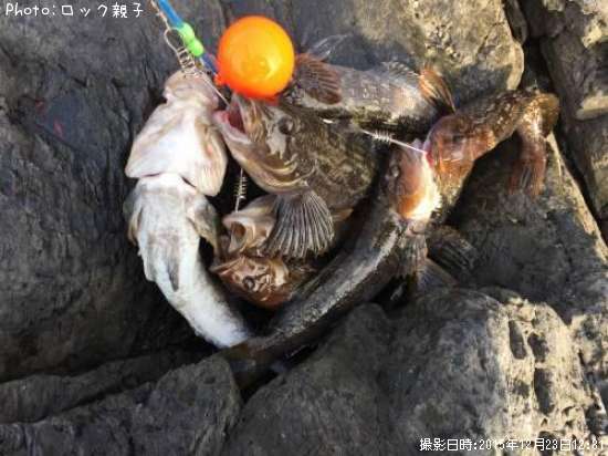 �����ʥ�