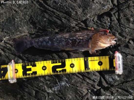 �����ʥ�