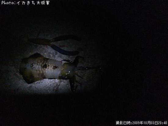 �����ꥤ��