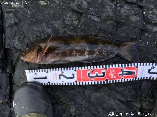 �����ʥ�