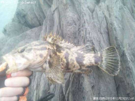 �����Υ���Х�