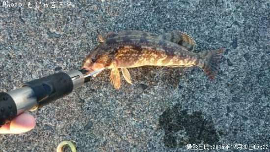 �����ʥ�